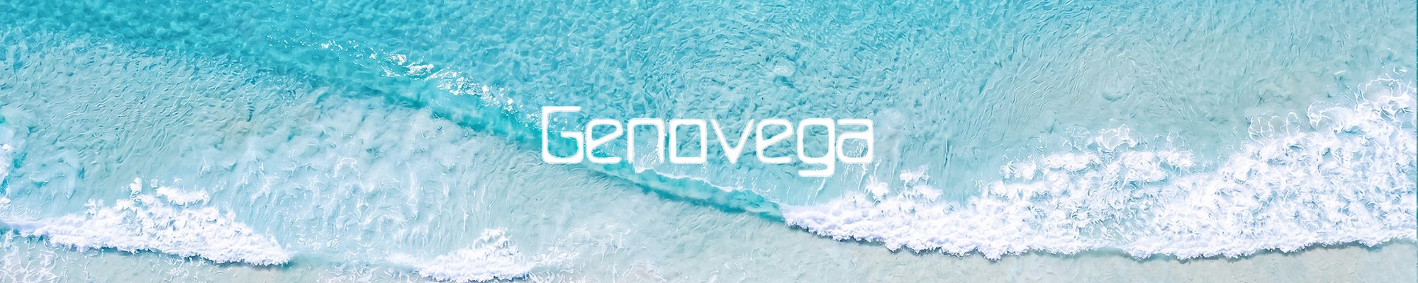 Genovega pashmina scarf